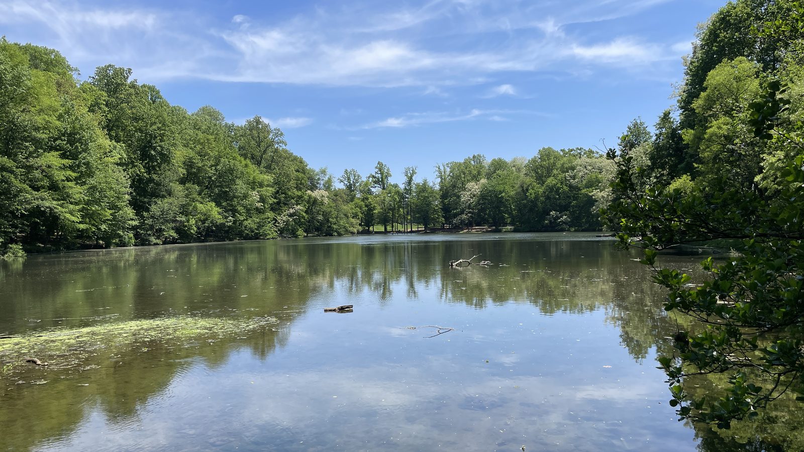 The tree lined pond at Alverthorpe Park in Abington, Pennsylvania, on a clear spring day