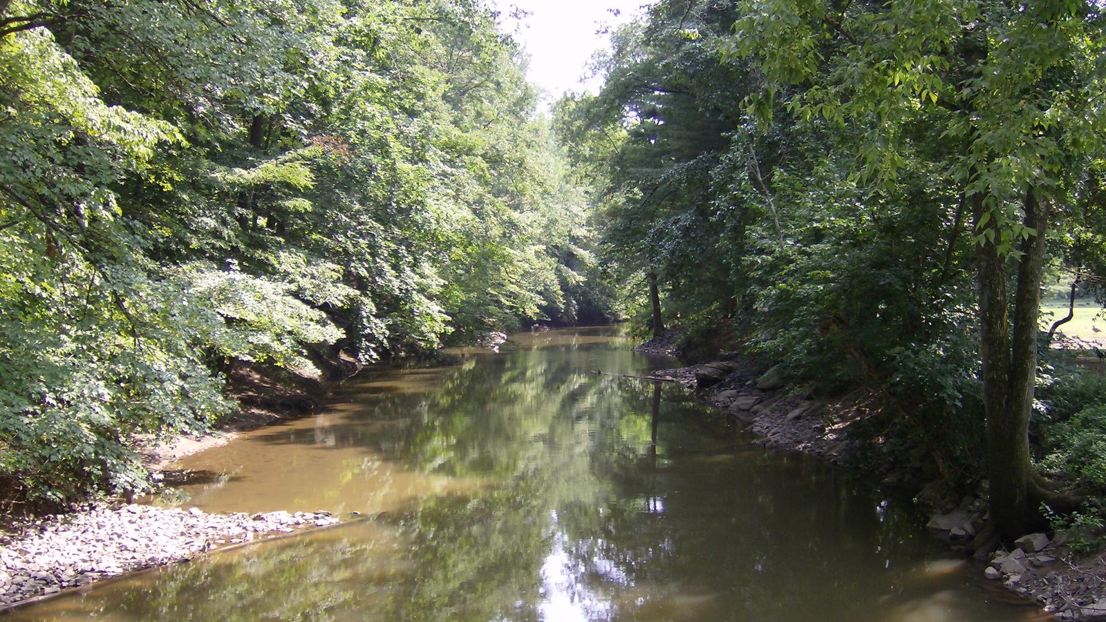 Pennypack Creek running through the woods at Lorimer Park in Abington, Pennsylvania