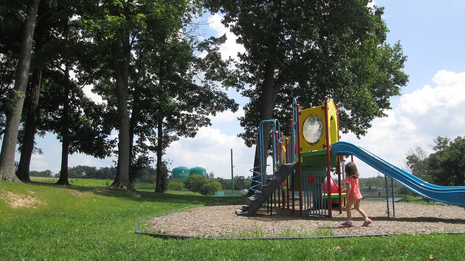 A township park playground with slides beside an open lawn and young trees, similar to the playground and fields at Roychester Park in Abington, Pennsylvania