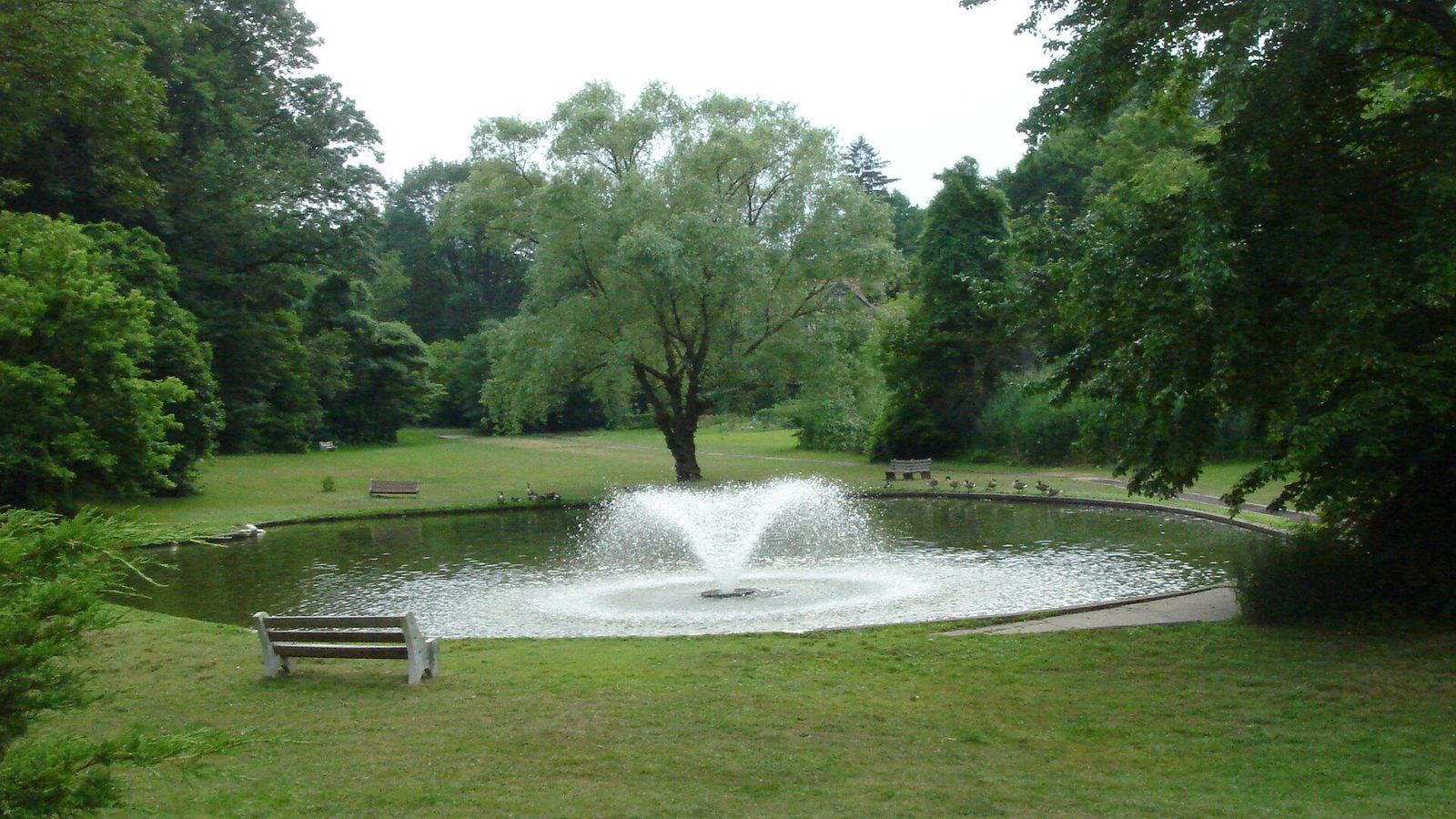 A quiet park lawn with a pond and fountain ringed by mature trees in Wyncote, Pennsylvania, similar to the neighborhood setting of Thomas Williams Park