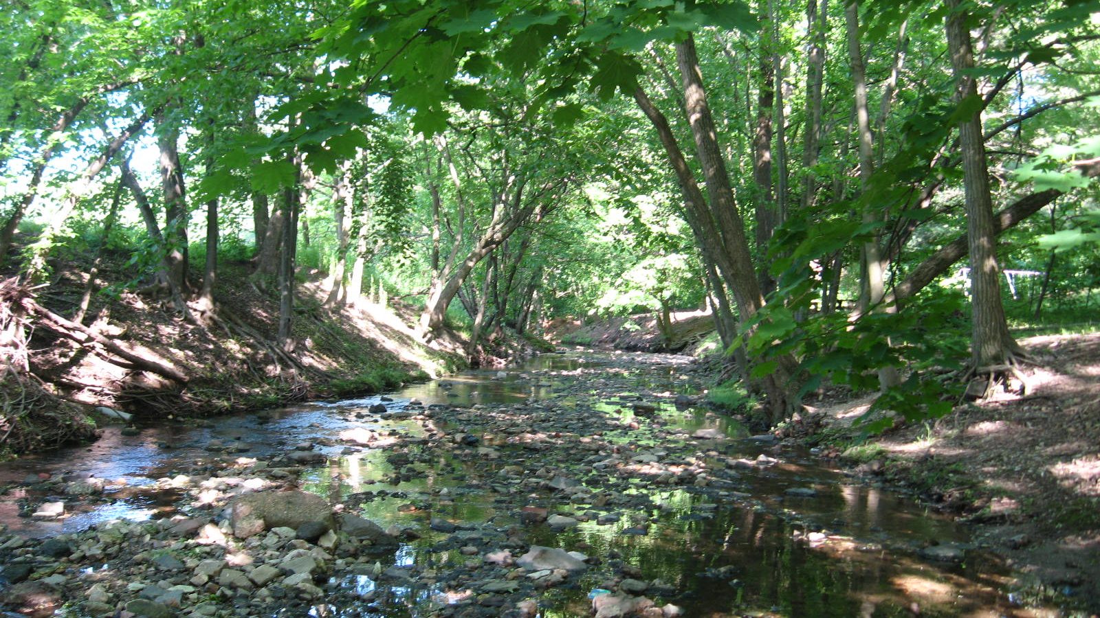 The shallow rocky bed of the Tookany Creek running through shaded woods, the same creek that Tookany Creek Park follows in Cheltenham, Pennsylvania